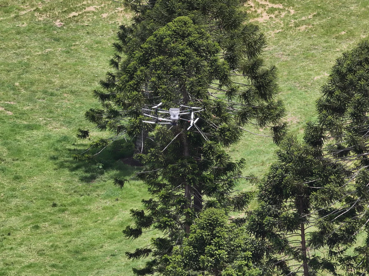 Drone field operations