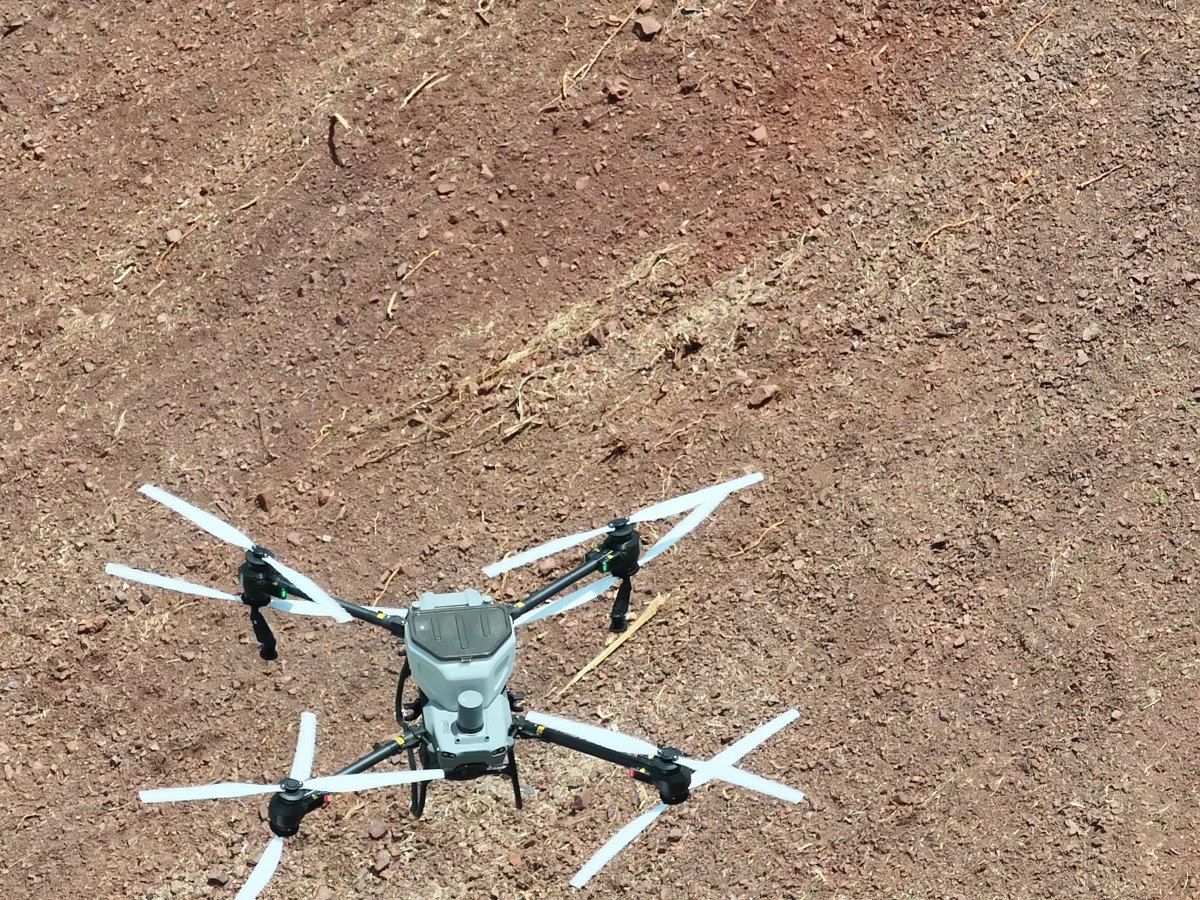 Drone crop monitoring